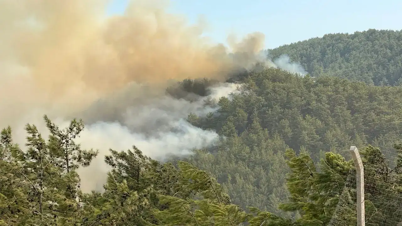 Türkiye’de 6 Bin 800 Orman Yangını, Antalya’da 13 Nokta! 4